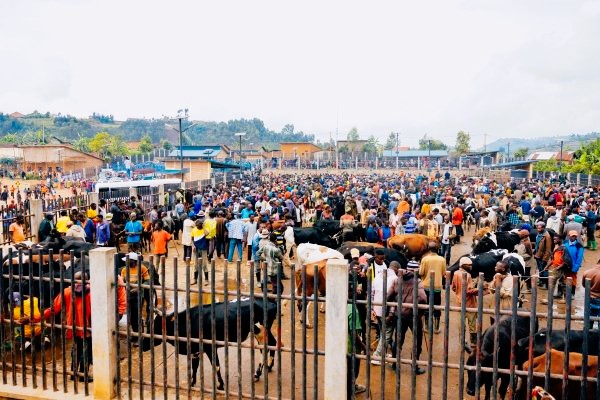 the market has also become an important source of income and a business opportunity