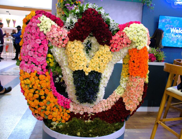 Flowers on display during the 13th edition of the International Flower Trade Exhibition IFTEX 2026 in Nairobi